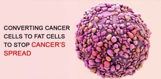 Converting Cancer Cells to Fat Cells to Stop Cancer’s Spread