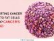 Converting Cancer Cells to Fat Cells to Stop Cancer’s Spread
