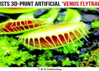 Scientists 3D-print artificial ‘Venus flytrap’