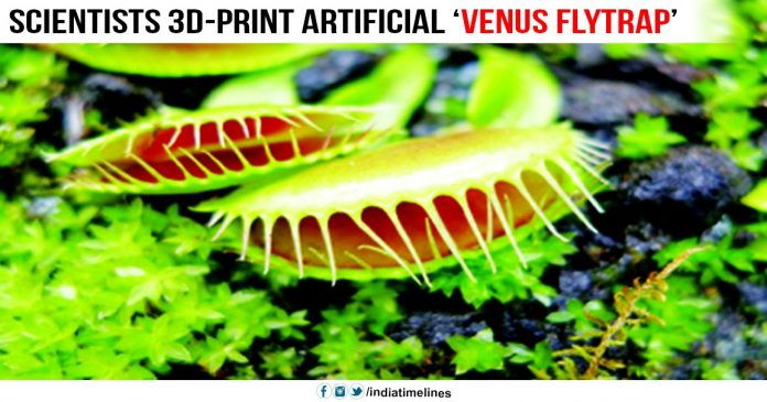 Scientists 3D-print artificial ‘Venus flytrap’