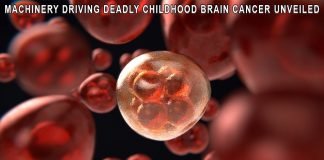 Machinery driving deadly childhood brain cancer unveiled