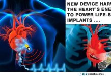 New device harvests the heart’s energy to power life-saving implants