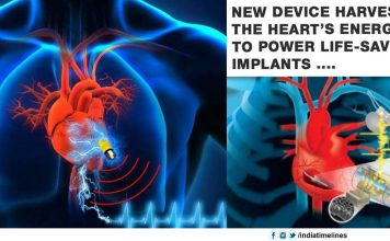 New device harvests the heart’s energy to power life-saving implants