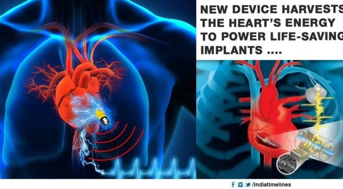 New device harvests the heart’s energy to power life-saving implants