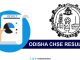 Odisha CHSE Result 2019
