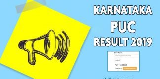 Karnataka 2nd PUC Results 2019 Name Wise
