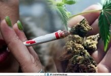 Cancer patients more likely to use marijuana