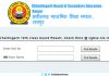 CGBSE Board 12th Result 2019