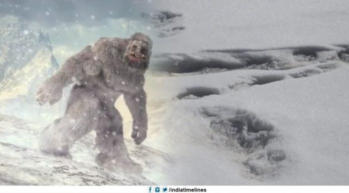 Indian army claims to have sighted footprints of Yeti