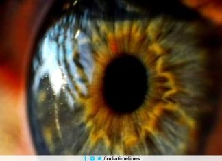 3D printed artificial corneas mimic human eyes