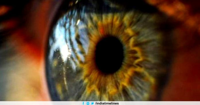 3D printed artificial corneas mimic human eyes
