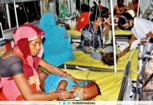 138 Deaths So Far Due To Encephalitis Fever