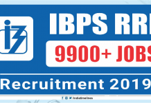 IBPS RRB Application Form 2019 Begins