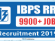 IBPS RRB Application Form 2019 Begins