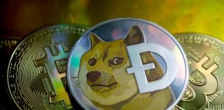 Dogecoin, Bitcoin, Ethereum Prices: Crypto caused havoc