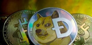 Dogecoin, Bitcoin, Ethereum Prices: Crypto caused havoc