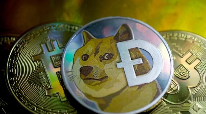 Dogecoin, Bitcoin, Ethereum Prices: Crypto caused havoc