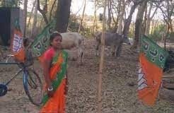 Day-to-day laborer's wife Chandana Bauri reached the assembly on a BJP ticket