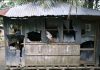 100 fundamentalists attacked Bangladeshi village: destroyed 50 Hindu houses