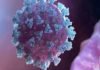 Marburg Virus: How big a threat to the world is the 'Marburg' virus spreading like Corona?