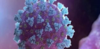 Marburg Virus: How big a threat to the world is the 'Marburg' virus spreading like Corona?