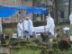 What is Nipah virus that killed a 12 year old boy in Kerala