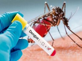 UP: More than 100 patients died of dengue-viral so far- 75 died in Firozabad only