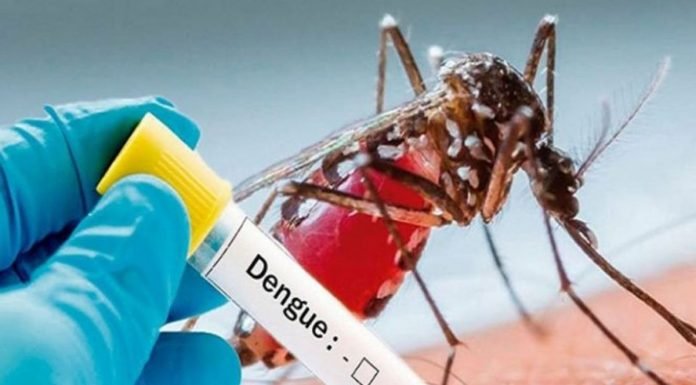 UP: More than 100 patients died of dengue-viral so far- 75 died in Firozabad only