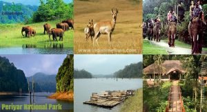 Periyar National Park