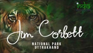 Tourist Famous Destination for Wildlife Safari in India