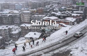 Best Places to Visit in India on New Year to See Snowfall