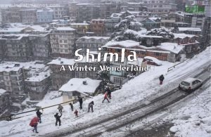 Best Places to Visit in India on New Year to See Snowfall