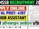 RSMSSB Recruitment 2024