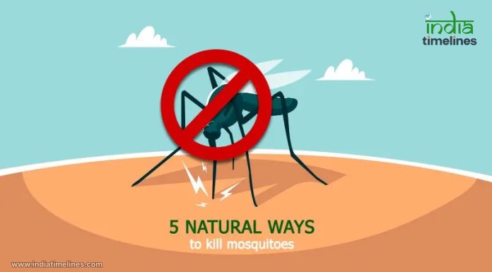 5 Natural And Effective Ways That Keep Mosquitoes Away