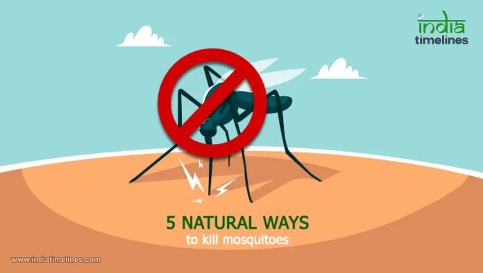5 Natural And Effective Ways That Keep Mosquitoes Away
