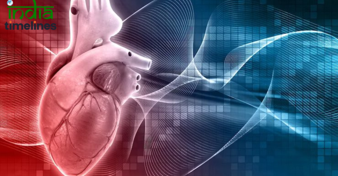 7 Types of Heart Diseases