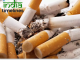 The Devastating Health Effects of Smoking and Tobacco Use: Why Quitting is Essential Devastating Health Effects of Smoking and Tobacco Use