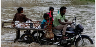 Gujarat Rain Live Updates