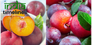 Health Benefits of Plums