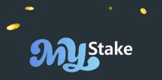 Background and Market Position