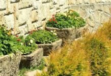 Why I’m Betting on Lolajack Casino Right Now